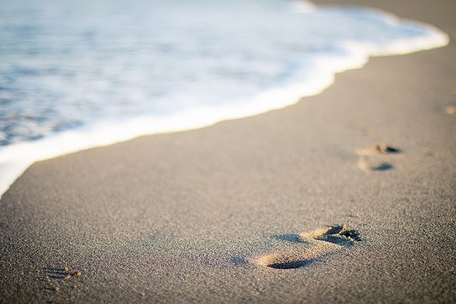 一粒万倍日は勇気を出して一歩を踏み出すきっかけに最適な日