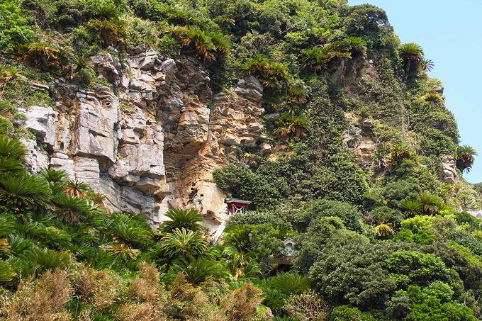 断崖絶壁にある御崎神社の本殿