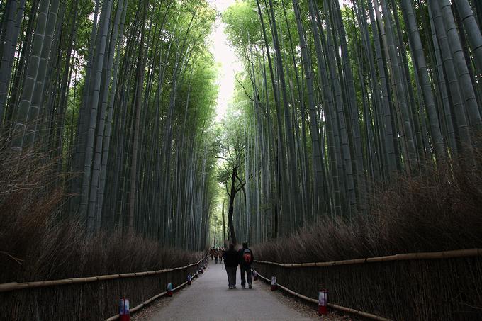 竹林の小径（京都）