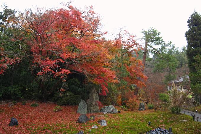 宝厳院の紅葉（京都）