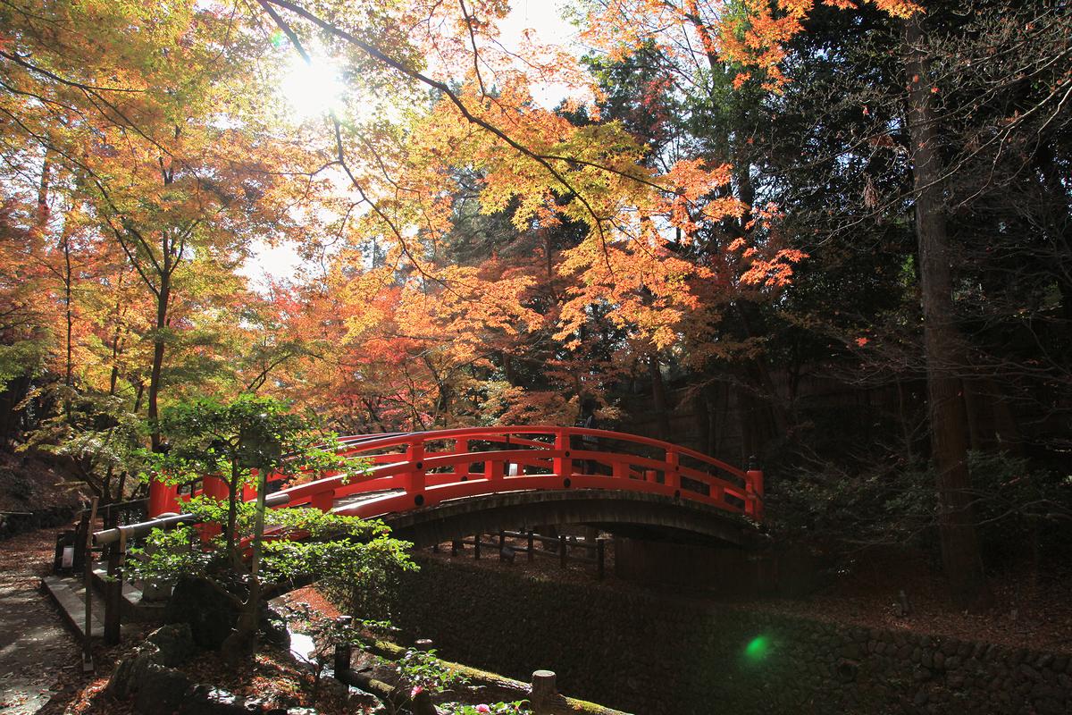 北野天満宮の紅葉（京都）