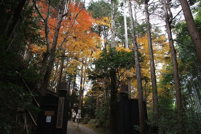 大河内山荘庭園の紅葉（京都）