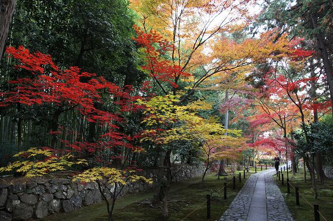 鹿王院の紅葉（京都）