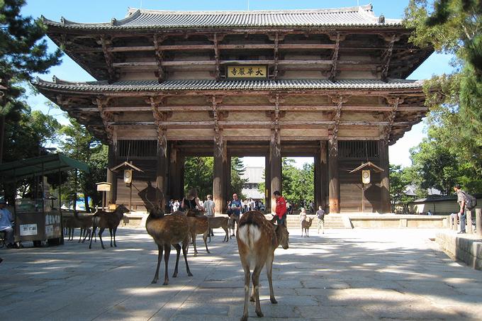 東大寺の南大門（奈良）