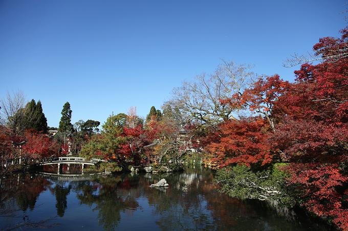 永観堂の池泉回遊式庭園（京都）