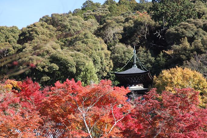 永観堂の多宝塔（京都）