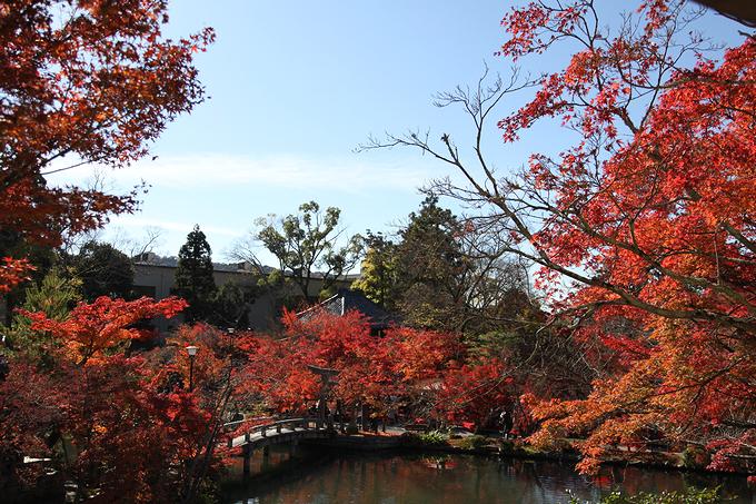 永観堂の放生池（京都）