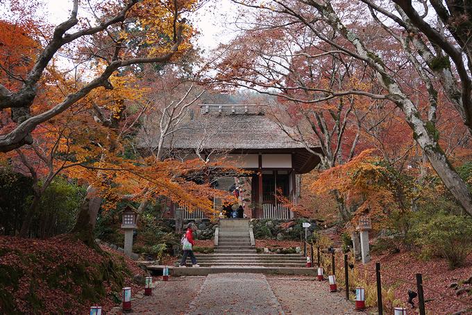 常寂光寺の仁門（京都）