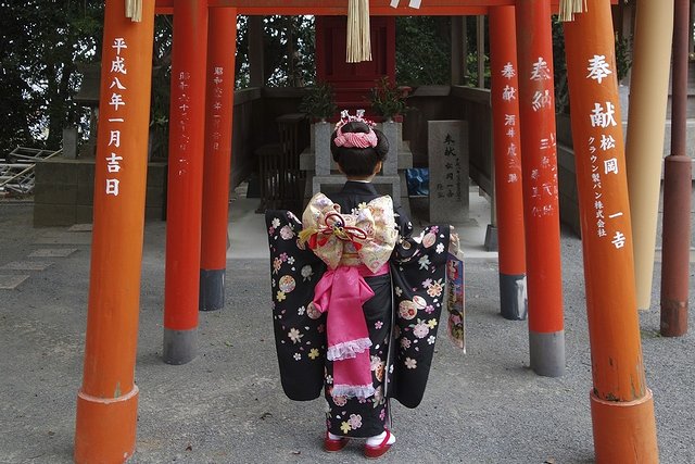 帯解きの儀で七五三の着物を着る女の子