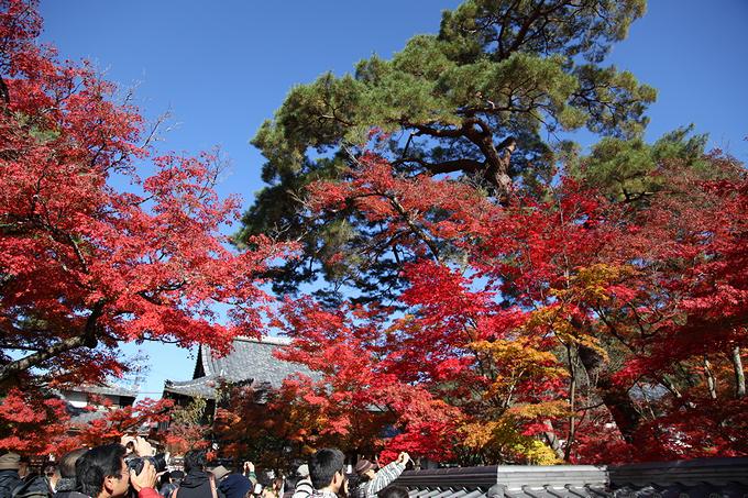 南禅寺・三門の紅葉（京都）