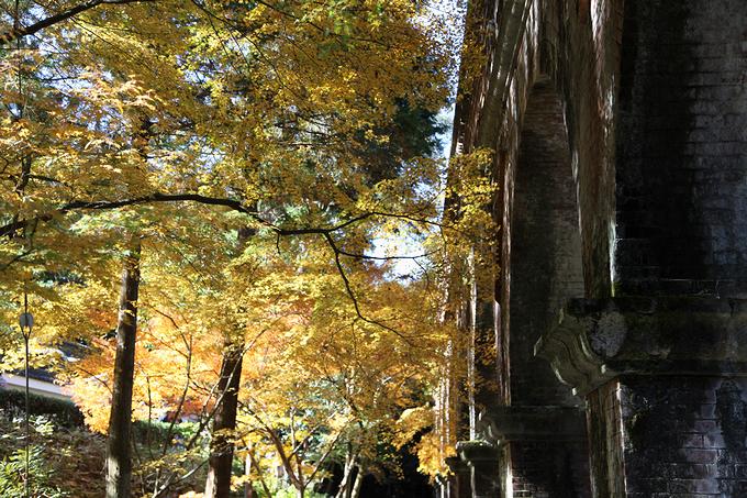 南禅寺・水路閣の紅葉（京都）