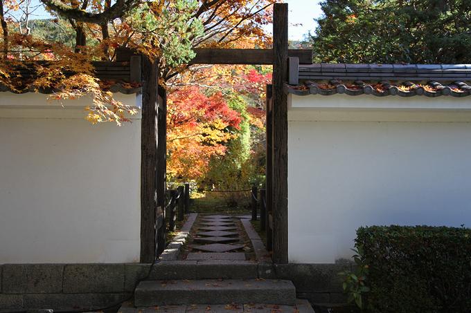 南禅寺・天授庵の紅葉（京都）