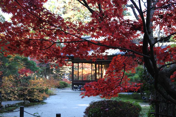 南禅寺・天授庵の紅葉（京都）