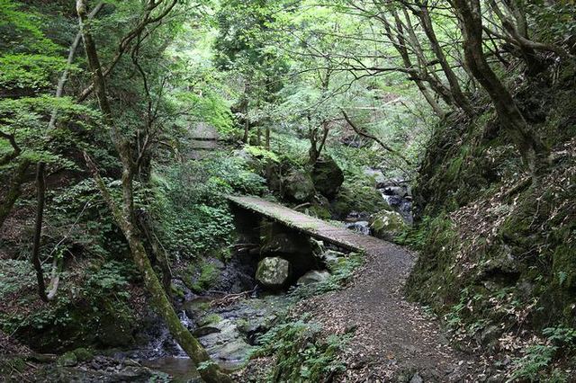 天滝までの登山ルートにある橋