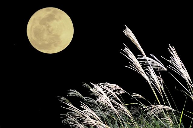 十五夜と中秋の名月に見られる満月