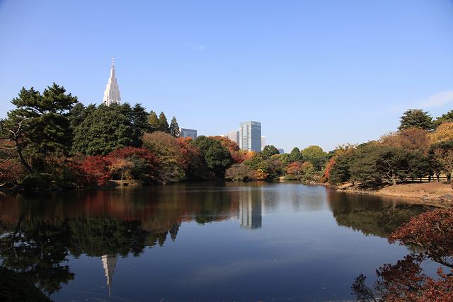 新宿御苑では高層ビル群と池に映る紅葉風景が見られる