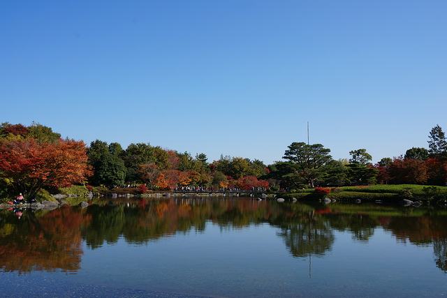 国営昭和記念公園にある日本庭園で池にも映る紅葉