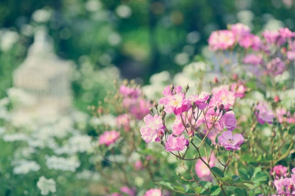 「わたしの美しい庭」・凪良ゆう