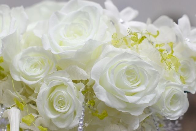 白いバラの花言葉は相思相愛、誕生日祝いに最適