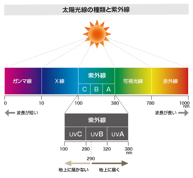 太陽光線の種類と紫外線