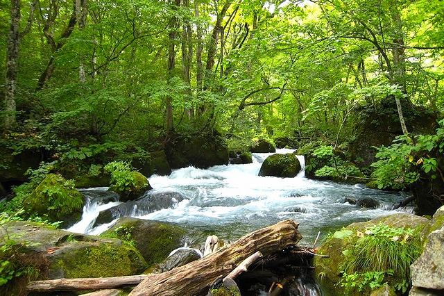 奥入瀬渓流の数あるスポットでも有名なのが阿修羅の流れ