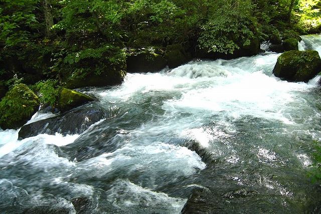 奥入瀬渓流の阿修羅の流れは男性的な強さを感じる迫力さ