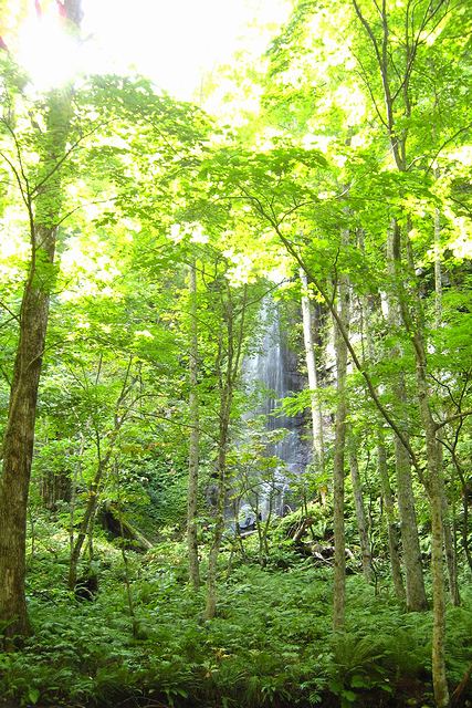 白糸の滝