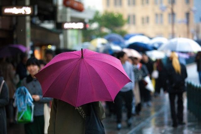 5月は皐月以外に、雨が降る月として雨月、梅雨の梅の字から由来して梅月とも呼ぶ