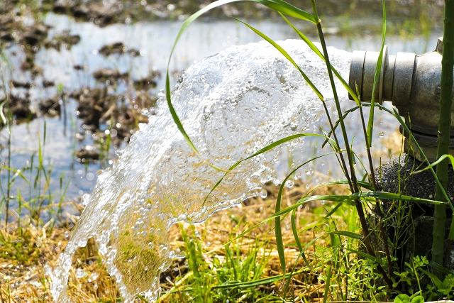 6月の水無月は、田んぼに水を張る季節であることから水の月としたのが本来の意味