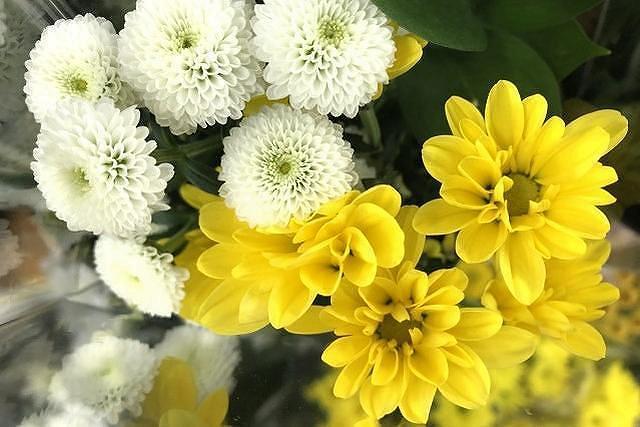 お彼岸のお供え物に菊などの仏花