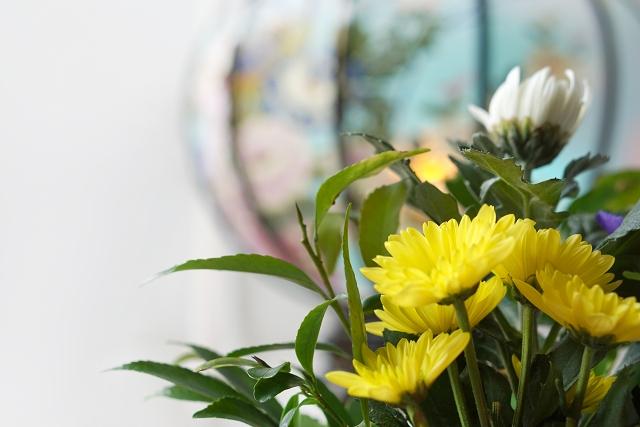 お墓や仏壇に供える花は仏花とされる菊が一般的