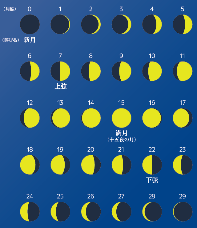 月齢における代表的な月の呼び名・図解