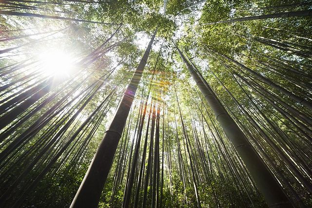 縁起のよい吉の方位にいる吉神は13つ。歳徳神・太歳神・歳禄神は3大吉神と呼ばれる