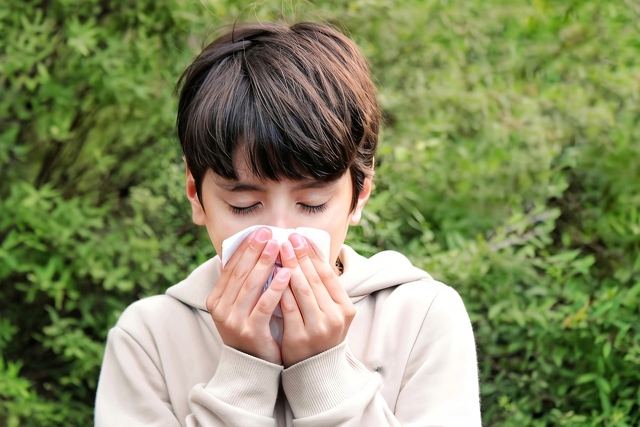 チョコレートに含まれるカカオポリフェノールの抗酸化作用で花粉症などのアレルギーの予防や緩和効果も