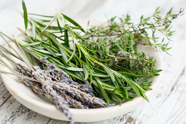 ハーブはラテン語のHerba（薬草）という言葉が語源で日本語では香草・薬草などといわれる